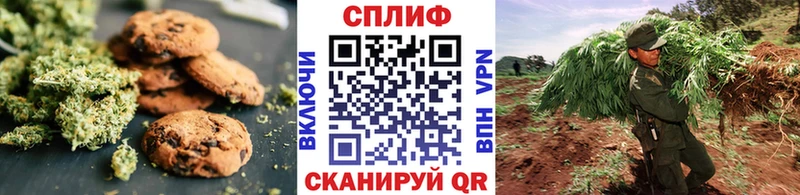 Купить закладки  Хасавюрт  Cannafood конопля 