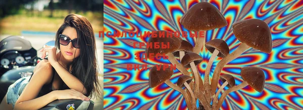 дживик Пестово