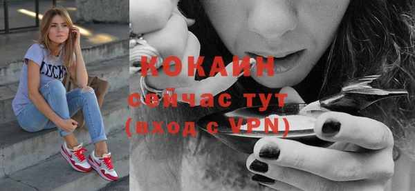 дживик Пестово