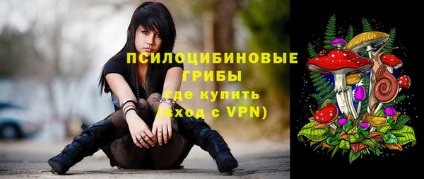 ПСИЛОЦИБИНОВЫЕ ГРИБЫ Переславль-Залесский