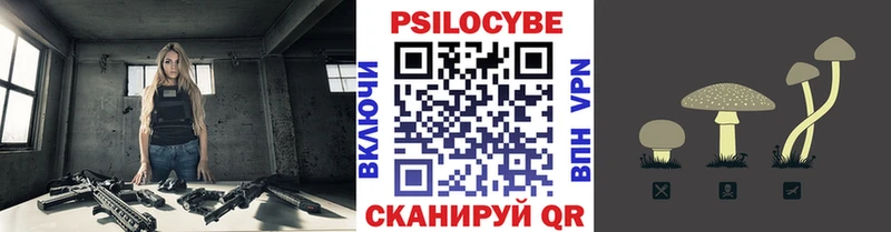 Купить закладки Хасавюрт Псилоцибиновые грибы Magic Shrooms